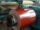 High Quality PPGI Galvanized Steel Coil Hot Rolled 1mm 2mm Thickness 300mm 500mm Width For Industry